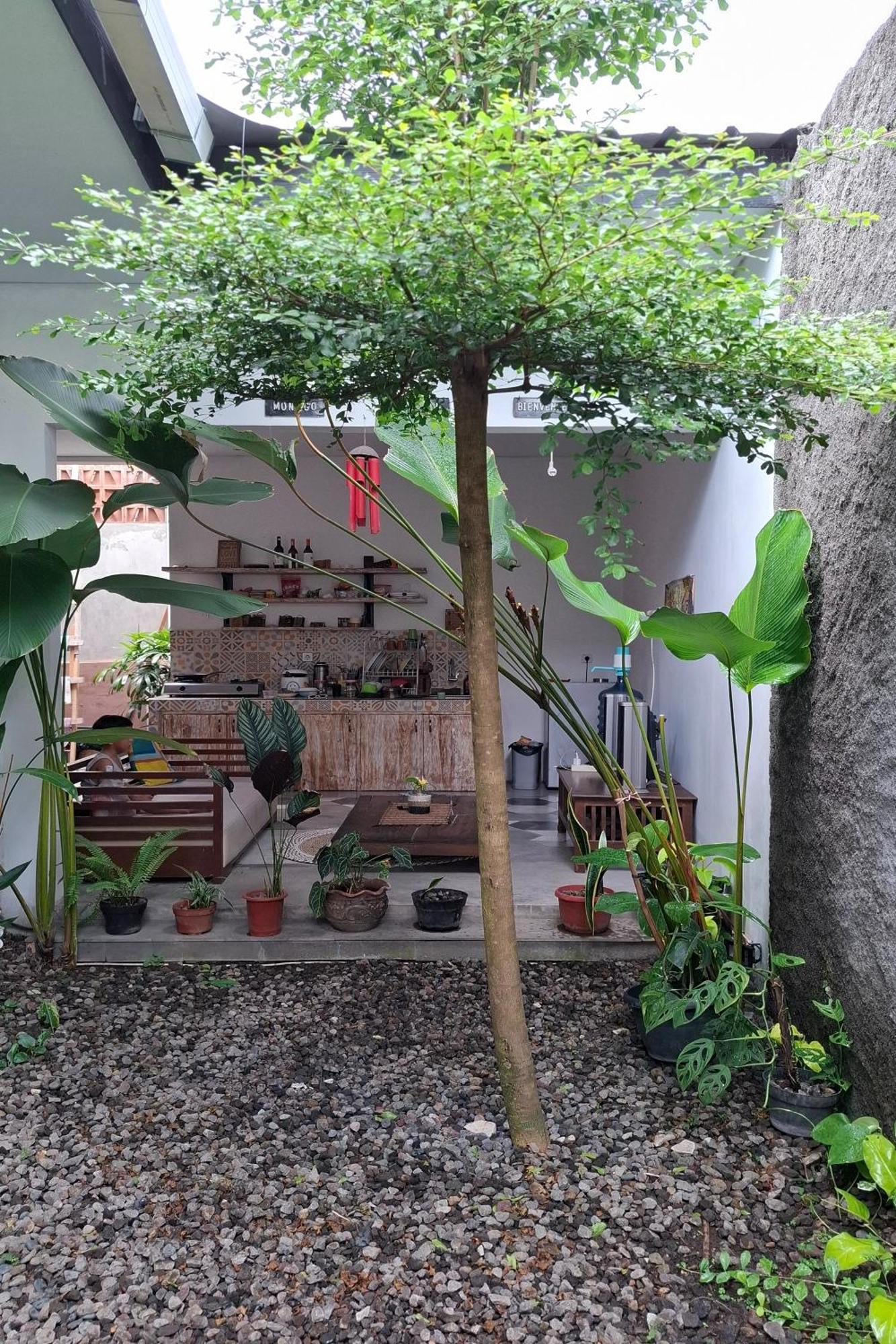 Bring In House Homestay